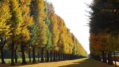 深まりゆく秋の王宮庭園を歩く・・ハノーバーHannover・・・・・ハンブルグから北ドイツを巡る旅