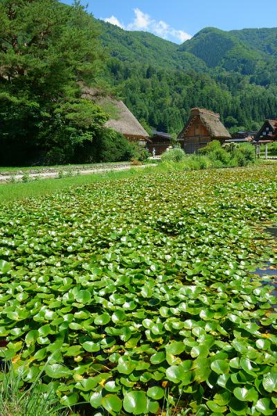 ちょっと立ち寄り白川郷【岐阜】