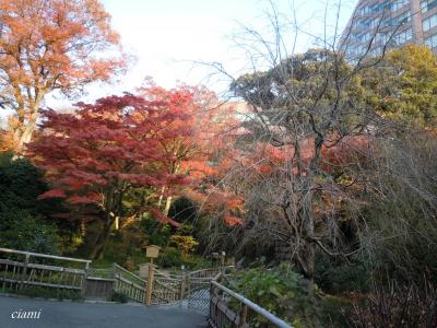 紅葉の神田川