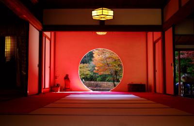 また来ちゃったよ～秋色の鎌倉風景を探しに～