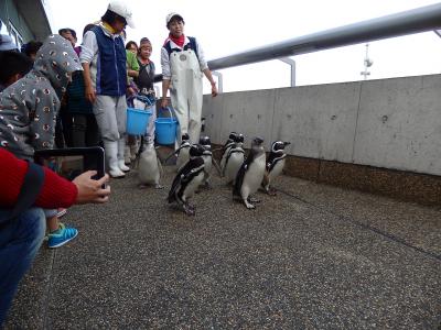 ≪国内ぷち逃走９≫→大分…１日目うみたまご