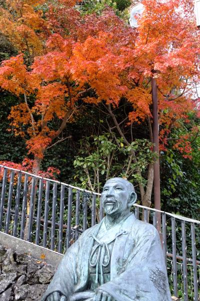 プロが選ぶ５つ星の有馬温泉と紅葉を