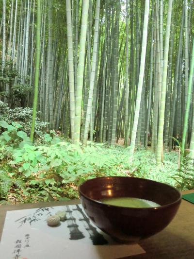 【鎌倉】 竹の庭でお抹茶　～報国寺～