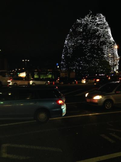 12月はイルミネーションの季節