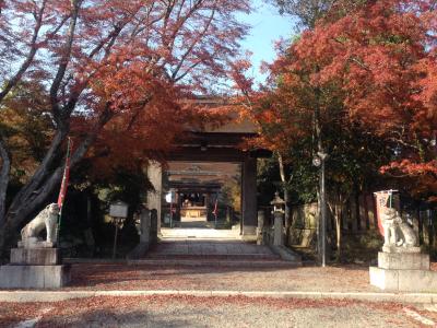 20131124　一宮のコマ　in　津山『中山神社』