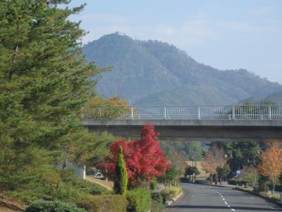 日本の旅　関西を歩く　京都府福知山市三段池公園（さんだんいけこうえん）周辺