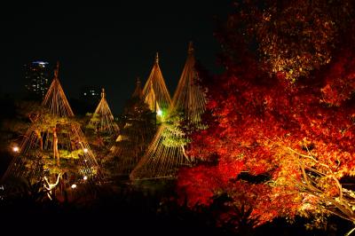 白鳥庭園ライトアップ紅葉狩り in Nagoya★2013【名古屋】