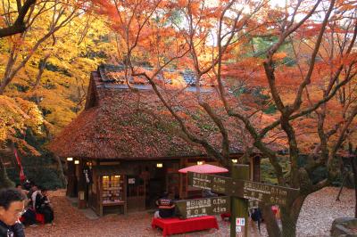 　『お久しぶり～♪　元気だった～？！』　“ならまち”街歩きあり　『春鹿酒造』で試飲あり　（ならまちで）“讃岐うどん”あり　紅葉あり　ちょっぴり夕焼けあり。。　やっぱり“笑い”がいっぱい！！　奈良コミュ　☆祝☆　３周年記念オフ会♪