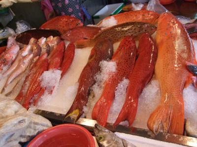 姪っ子と台湾2人旅・3日目 台南 水天宮市場