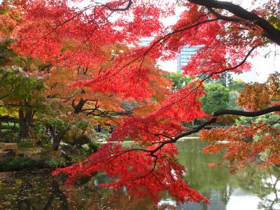 ２０１３年　東京・日比谷公園の紅葉と宝塚観劇