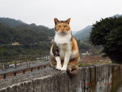 昭和の風景と駅舎 台湾猫村　台北平渓線（旧台陽鉱業　石底線）