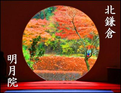 【ぶらり北鎌倉】 まだ間に合う！丸窓の”輪”から12月の紅葉を満喫 - 明月院・海蔵寺・英勝寺 -