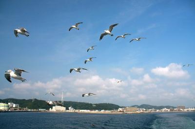 東京湾フェリーとアクアラインで夏の東京湾ぐるっと一周