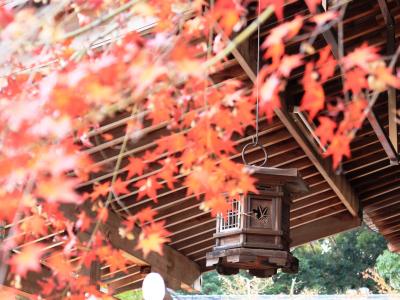 奈良・京都へ　日本を敬慕した高僧と大陸を憧憬した将軍