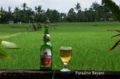 Bali de Bintang Vol.3-3 (Ubud)