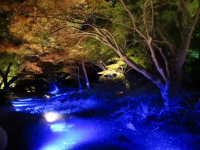 東京・六義園　紅葉２０１３