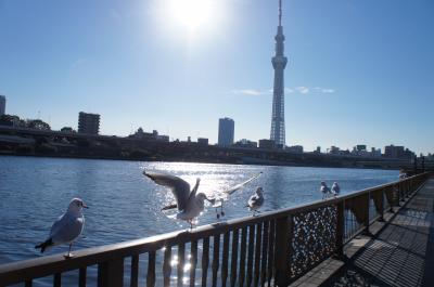 2013年冬隅田川を歩く、浅草吾妻橋から北千住までブラ歩き、コロナで未ＵＰ旅行記整理編