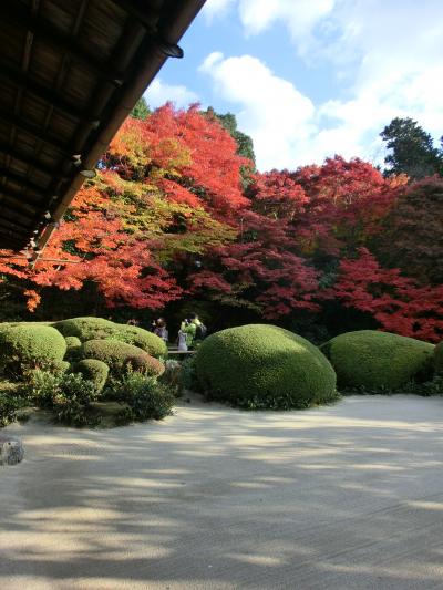 紅葉の京都お寺巡り♪２０１３～その３～