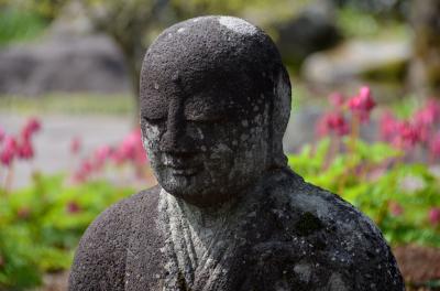 初夏に行く群馬・花の寺と栃木・湯西川　その1　花の寺から湯西川へ