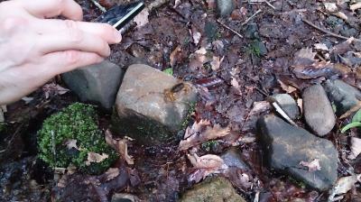 乳頭温泉　蟹場温泉脇の山道