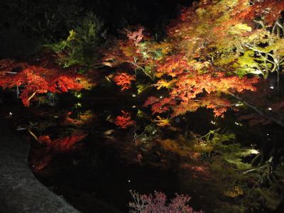 2013年秋の京都　高台寺ライトアップ