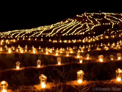 幻想的な棚田の夜