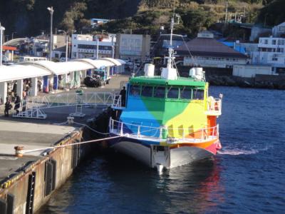 東海汽船で行く冬の伊豆大島（陸上編）