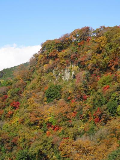 大分＆熊本　紅葉と温泉めぐり旅　（１）　　　【 博多から九重、そして小国へ 】