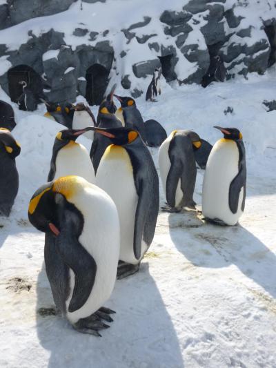 吹雪を呼ぶ北海道旅行3