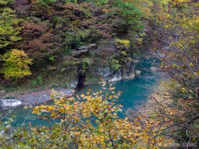 Autumn has come in TOHOKU! - Akita