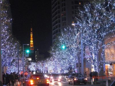 東京のクリスマスを体験！