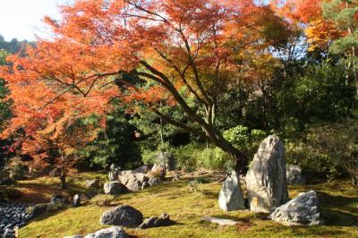 2013年京都の紅葉5 宝巌院