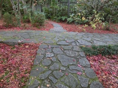 ２０１３年紅葉第二弾/岩清水八幡宮＆善法律寺/2013年11月