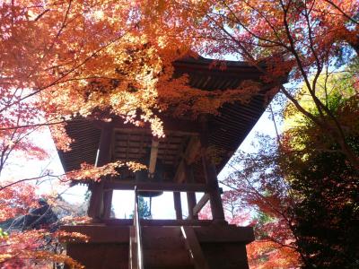 平林寺の紅葉と上野ランチ