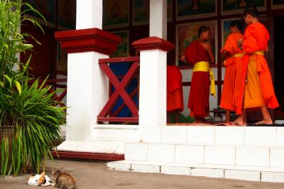 悠久の古都で見つけた懐古情調 in Luang Prabang★2013　12　9日目【LPQ】