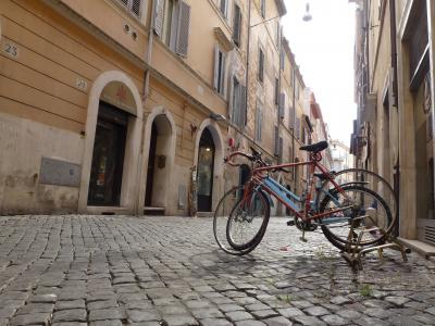 イタリア周遊旅行2013　７．ローマ観光②