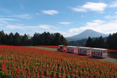 島根に行ってみた（1日目）