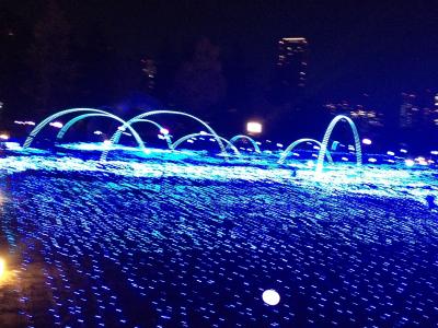 クリスマス時期の東京