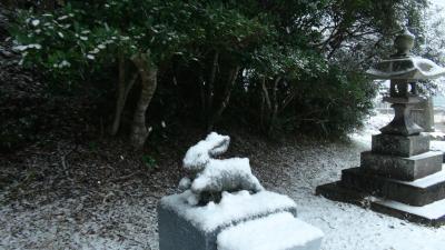 雪をかぶった白ウサギ