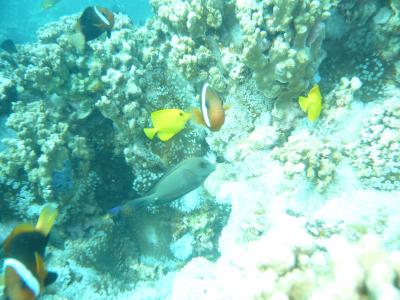 ひさびさにグアムで息抜き