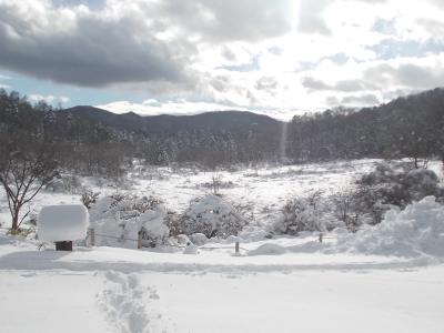 初冬の古峯ヶ原ハイキング～一足早く雪と戯れる～