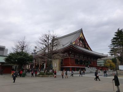 浅草で十月桜探し