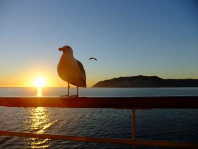 冬のカリフォルニアの風♪９初メキシコ