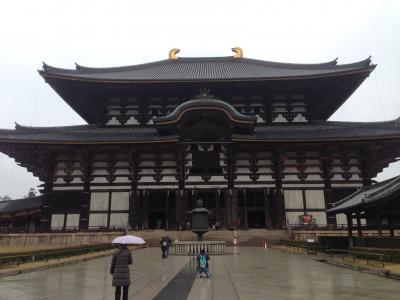 冬の奈良～奈良公園観光