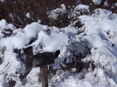 今年最初の寒波直後の熊鷹山　