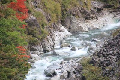 恐竜せんせい福井恐竜博物館から白山スーパー林道へ