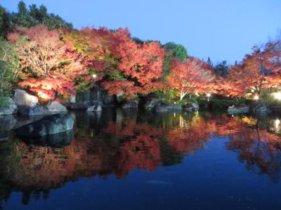 姫路城、好古園の紅葉