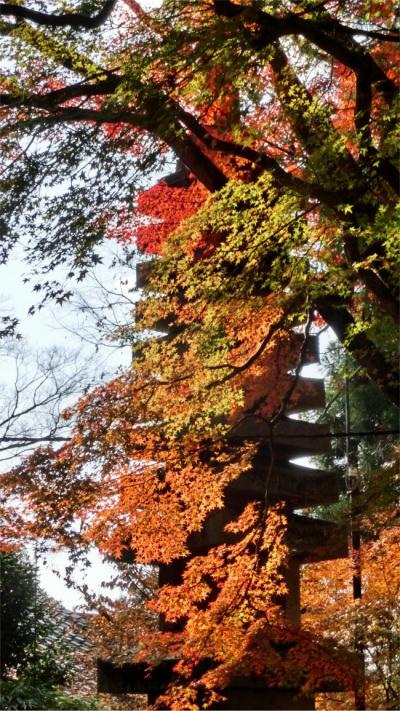 レトロ探して三都の旅2日目 紅葉京都の一日編4