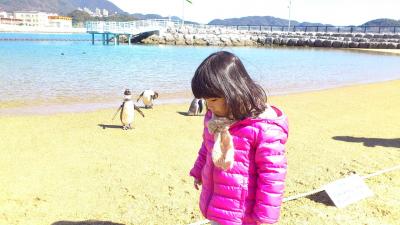 ランタンに照らされた街を歩くー長崎(2)　ペンギンが歩く浜へ