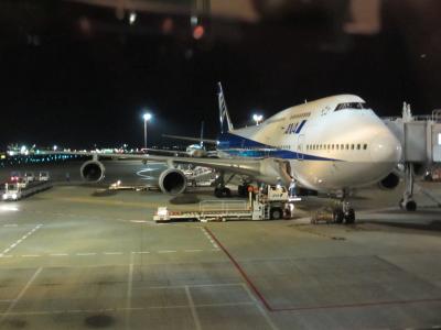 ２０１３年ＳＦＣ（ＡＮＡ）修行１５回目　トラブル続きを乗り越えよ！！　羽田～（那覇～新石垣）＊３～羽田（日帰り）　初のミールクーポンでローソンへダッシュした旅